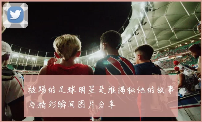被踢的足球明星是谁揭秘他的故事与精彩瞬间图片分享
