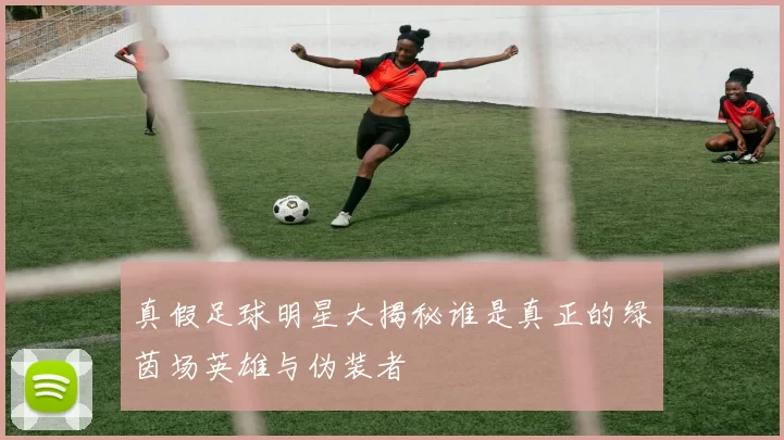 真假足球明星大揭秘谁是真正的绿茵场英雄与伪装者