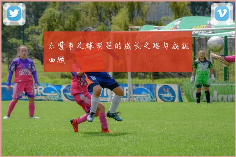 东营市足球明星的成长之路与成就回顾