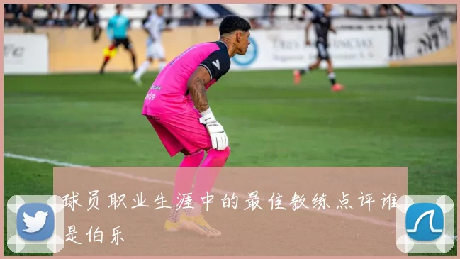 球员职业生涯中的最佳教练点评谁是伯乐