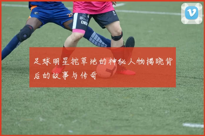 足球明星挖草地的神秘人物揭晓背后的故事与传奇