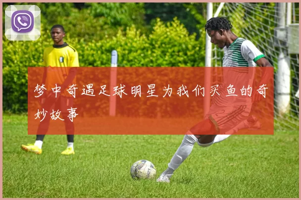 梦中奇遇足球明星为我们买鱼的奇妙故事