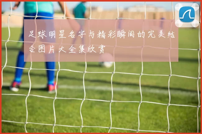 足球明星名字与精彩瞬间的完美结合图片大全集欣赏