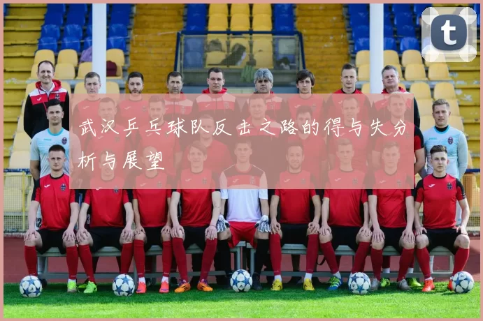 武汉乒乓球队反击之路的得与失分析与展望