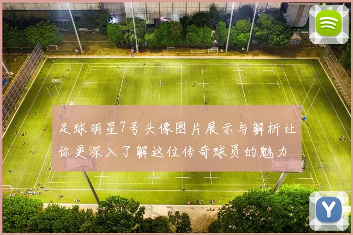 足球明星7号头像图片展示与解析让你更深入了解这位传奇球员的魅力与风采