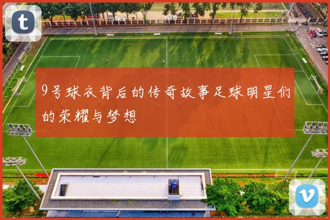 9号球衣背后的传奇故事足球明星们的荣耀与梦想