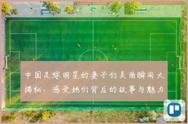 中国足球明星的妻子们美丽瞬间大揭秘，感受她们背后的故事与魅力