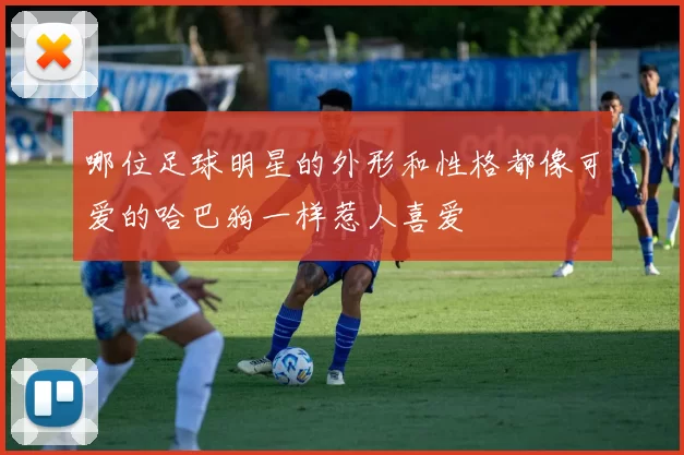 哪位足球明星的外形和性格都像可爱的哈巴狗一样惹人喜爱