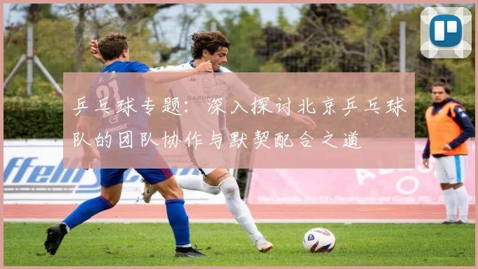 乒乓球专题：深入探讨北京乒乓球队的团队协作与默契配合之道