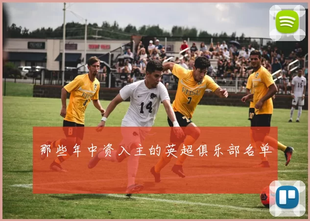 那些年中资入主的英超俱乐部名单