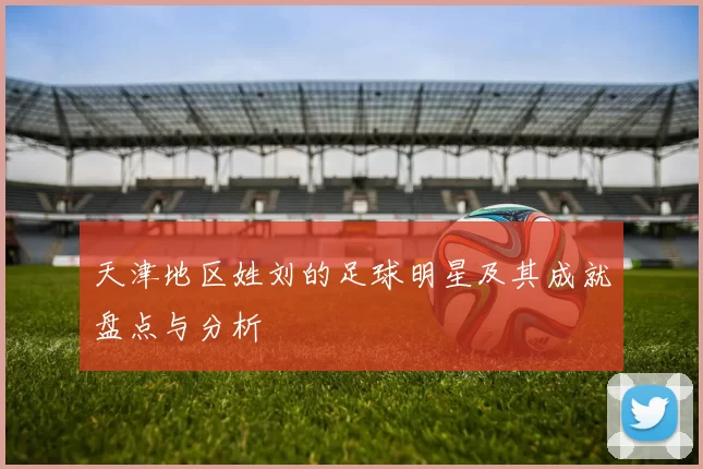 天津地区姓刘的足球明星及其成就盘点与分析