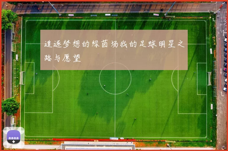 追逐梦想的绿茵场我的足球明星之路与愿望