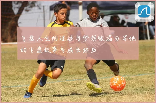 飞盘人生的追逐与梦想张磊分享他的飞盘故事与成长经历