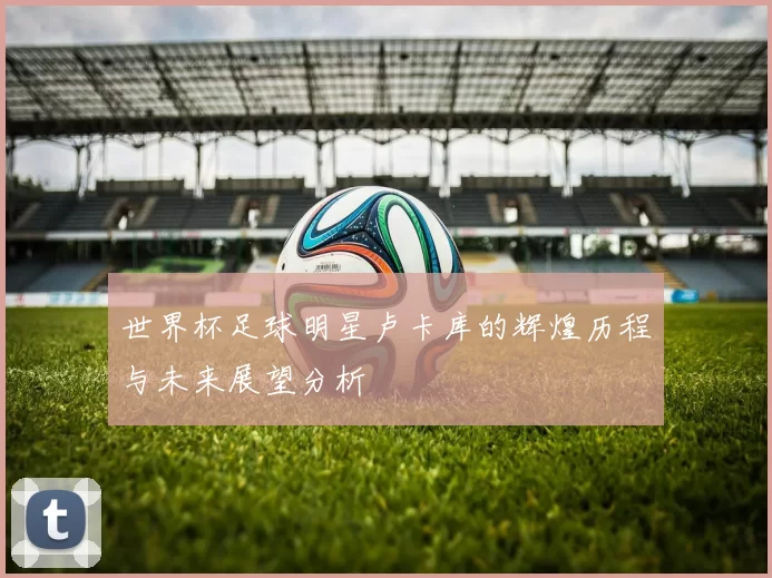 世界杯足球明星卢卡库的辉煌历程与未来展望分析