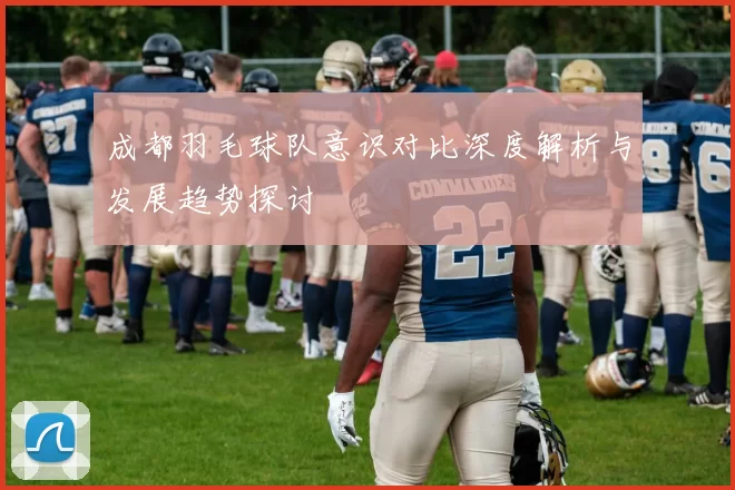 成都羽毛球队意识对比深度解析与发展趋势探讨