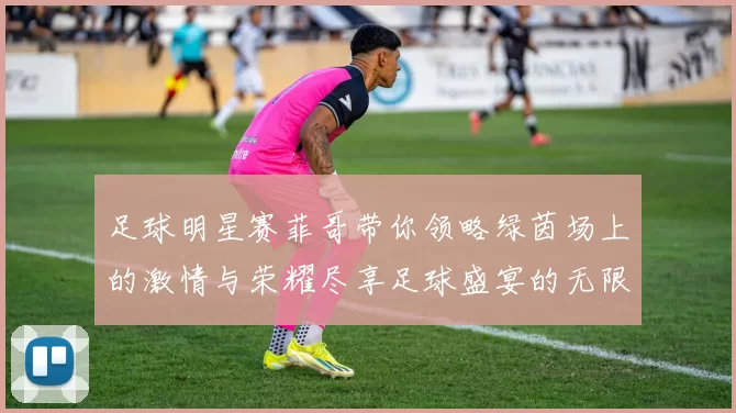 足球明星赛菲哥带你领略绿茵场上的激情与荣耀尽享足球盛宴的无限魅力