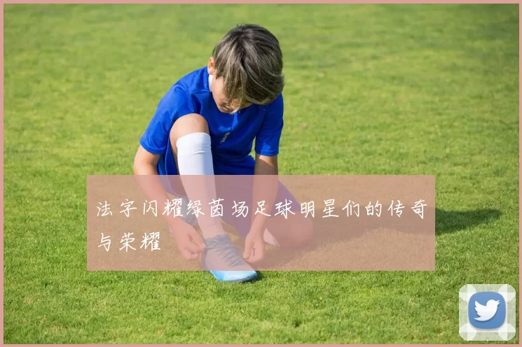 法字闪耀绿茵场足球明星们的传奇与荣耀