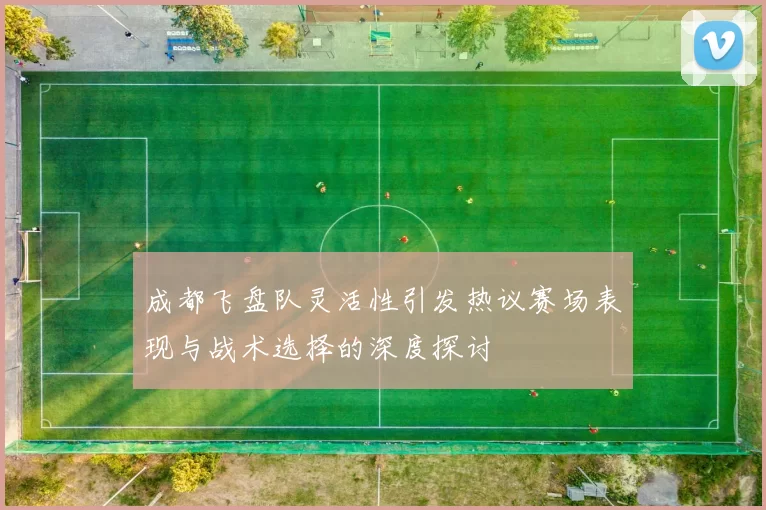 成都飞盘队灵活性引发热议赛场表现与战术选择的深度探讨