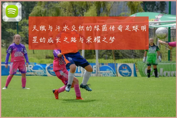 天赋与汗水交织的绿茵传奇足球明星的成长之路与荣耀之梦