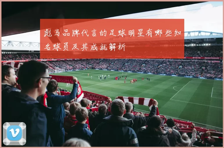 彪马品牌代言的足球明星有哪些知名球员及其成就解析