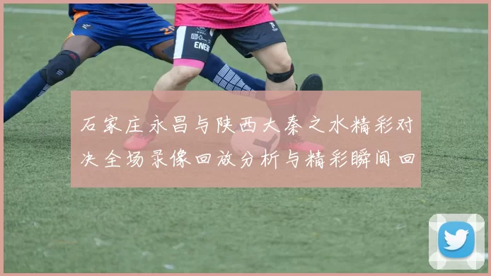 石家庄永昌与陕西大秦之水精彩对决全场录像回放分析与精彩瞬间回顾
