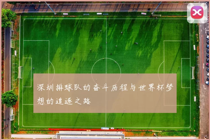 深圳排球队的奋斗历程与世界杯梦想的追逐之路