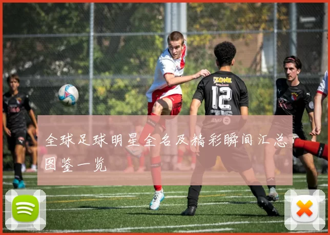全球足球明星全名及精彩瞬间汇总图鉴一览