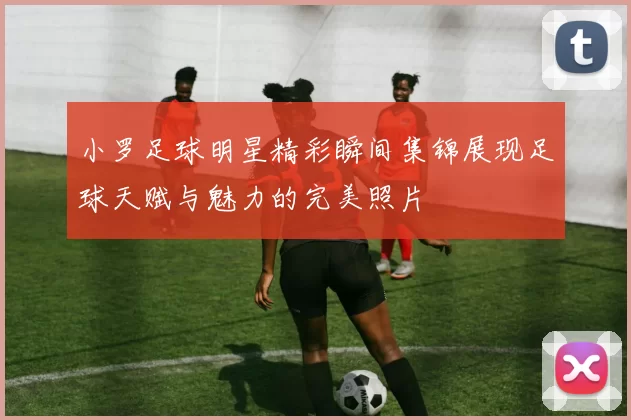 小罗足球明星精彩瞬间集锦展现足球天赋与魅力的完美照片