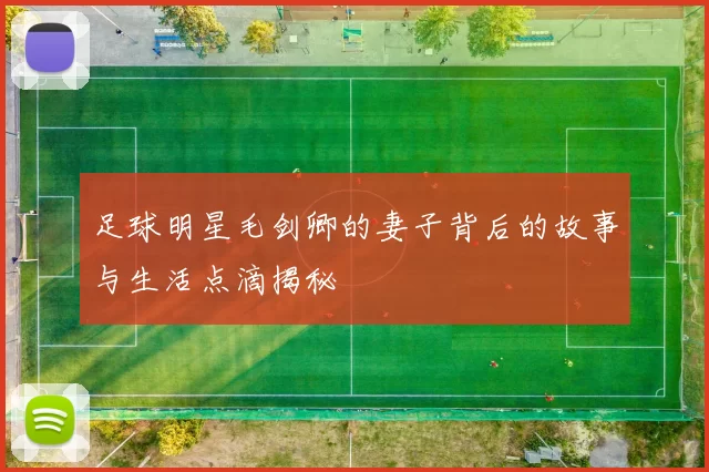足球明星毛剑卿的妻子背后的故事与生活点滴揭秘