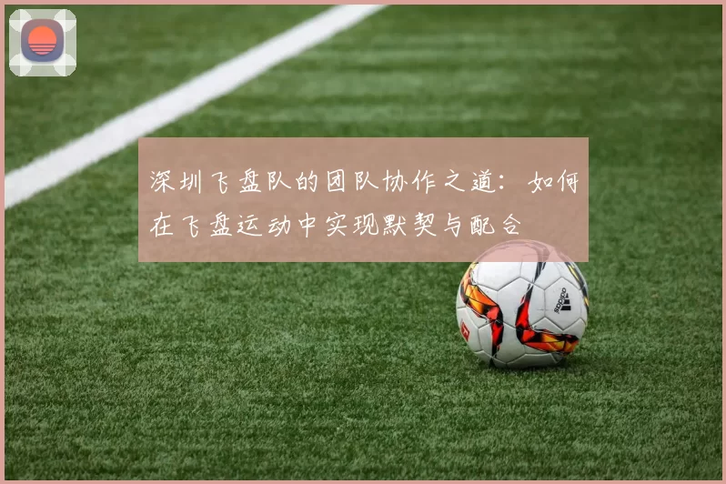 深圳飞盘队的团队协作之道：如何在飞盘运动中实现默契与配合