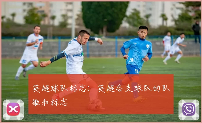英超球队标志：英超各支球队的队徽和标志