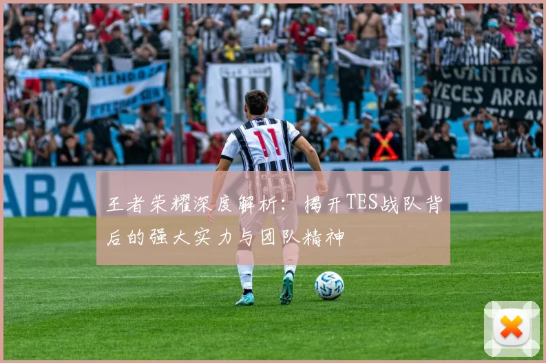 王者荣耀深度解析：揭开TES战队背后的强大实力与团队精神