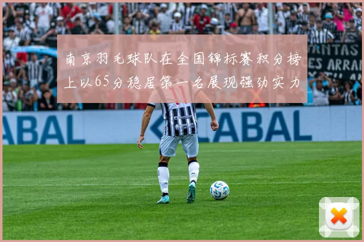 南京羽毛球队在全国锦标赛积分榜上以65分稳居第一名展现强劲实力