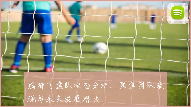 成都飞盘队状态分析：聚焦团队表现与未来发展潜力