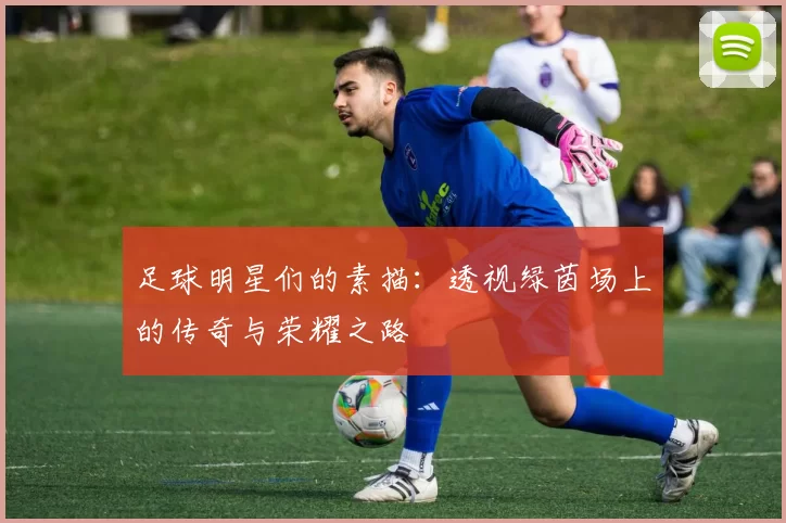 足球明星们的素描：透视绿茵场上的传奇与荣耀之路